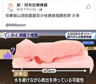 这是一张由社交媒体动态截图与新闻截图拼接而成的图片。上方是社交平台用户“新·阿布拉棒棒雞”发布的动态，内容为吐槽下方的泰国洞穴救援剖面图颜色过于接近人体私密部位，认为制作该剖面图时应当更换颜色；下方是日本媒体关于2018年泰国少年足球队被困洞穴救援事件的报道截图，用粉色3D模型展示了洞穴的结构，标注了洞穴入口、被困少年的位置、洞穴长度约5km，同时配有日文说明，指出被困者有可能在躲避积水等待救援。该图的笑点在于剖面图的颜色与形状容易引发不雅联想，用户的吐槽精准点出了这一视觉上的尴尬之处。