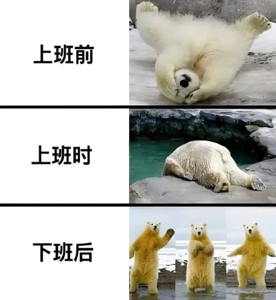 三格对比图展示北极熊在上班前、上班时和下班后的不同状态，幽默表现打工人的日常情绪变化。上班前北极熊四脚朝天悠闲自在，上班时趴在岩石上无精打采，下班后三只北极熊站立挥手活力满满。