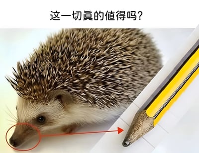 图片中一只刺猬的鼻子被红色圆圈标注，并用红色箭头指向旁边的黄色铅笔笔尖，刺猬似乎正近距离观察铅笔尖。图片顶部配有文字'这一切真的值得吗？'，整体营造出一种对当前行为或选择是否值得的犹豫与思考氛围。