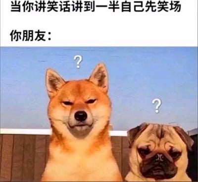 这是一张贴合生活场景的搞笑梗图，采用图文混排的形式呈现。上方文字分为两部分，第一部分“当你讲笑话讲到一半自己先笑场”描述了一个常见的社交小尴尬场景，第二部分“你朋友：”引出下方的宠物配图；配图中是一只柴犬和一只巴哥犬，两只狗狗都露出困惑、茫然的表情，头上还添加了问号元素，精准还原了听笑话的人还未理解笑点，就看到讲笑话的人自己先笑起来时，那种摸不着头脑、满脸疑惑的状态，用宠物的生动表情放大了这种尴尬又好笑的瞬间，容易引发网友的共鸣。