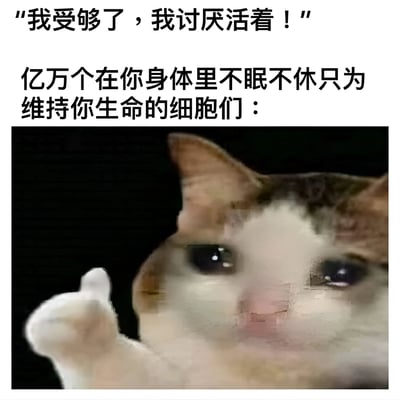 图片上半部分是黑色文字：“我受够了，我讨厌活着！”，下方紧接着另一行文字：“亿万个在你身体里不眠不休只为维持你生命的细胞们：”。下半部分是一张猫的特写照片，猫咪表情严肃，眼神专注，举起一只爪子，仿佛在回应或表达某种态度。通过将细胞拟人化为表情认真的猫咪，形成了一种幽默的反差，用轻松的方式安慰那些可能处于负面情绪中的人，暗示身体的每个细胞都在努力维持生命，传递出治愈的意味。