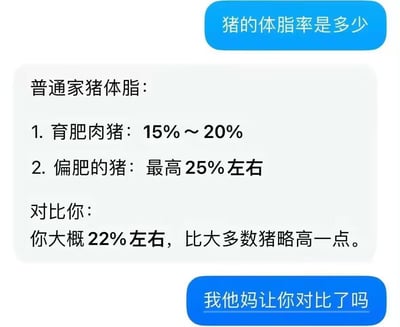 这是一张聊天对话截图，共有三条消息：首先蓝色气泡的提问者询问猪的体脂率数值，白色气泡的回复者先给出了普通家猪的体脂数据，育肥肉猪体脂率为15%~20%，偏肥的猪体脂率最高约25%，随后额外将猪的体脂率和提问者做对比，称提问者体脂率大概22%左右，比大多数猪略高一点，最后提问者愤怒回复“我他妈让你对比了吗”，内容自带反差搞笑效果，属于网络调侃类的梗图。
