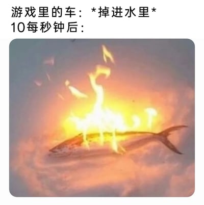 这是一张吐槽游戏物理引擎bug的搞笑梗图，图片上方配有文字“游戏里的车：*掉进水里* 10每秒钟后：”，下方的画面是一条在水中燃烧的鱼。该图用荒诞离谱的画面，调侃部分游戏中不符合现实逻辑的设定——车辆落水后没有按照正常逻辑沉没或损坏，反而出现了判定错误，变成在水里着火的鱼，通过强烈的反差感制造搞笑效果，精准戳中玩家对游戏不合理bug的吐槽点。