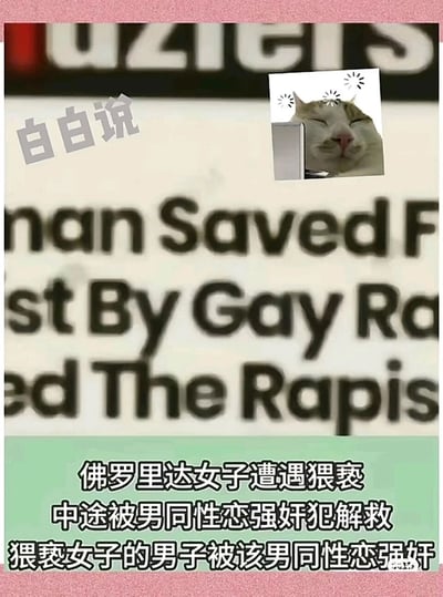 这是一张经过二次创作的搞笑梗图，主体内容是国外某猎奇小报的模糊新闻标题截图，搭配了清晰的中文翻译文案，讲述了一个极具荒诞反转性的离谱事件：佛罗里达一名女子遭遇猥亵时，被一名男同性恋强奸犯解救，而原本猥亵女子的男子随后被该男同性恋强奸犯侵犯。图的左上角标注有“白白说”的字样，右上角添加了一个双眼紧闭、头顶带有炸开特效的猫咪表情包，精准传递出看到这类荒诞新闻时的无语、震惊的情绪，整体通过离谱的新闻内容制造强烈反差，达到搞笑猎奇的效果。