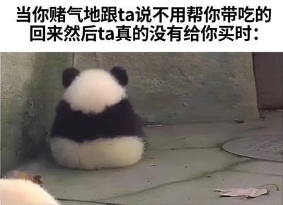 图片上方配有文字“当你赌气地跟ta说不用帮你带吃的回来然后ta真的没有给你买时：”，下方是一只熊猫背对着镜头坐在地上的画面。熊猫的背影圆润，看起来有些失落和委屈，完美契合了文字描述的情景——原本赌气拒绝对方帮忙带食物，结果对方真的没买时的后悔与无奈心情。