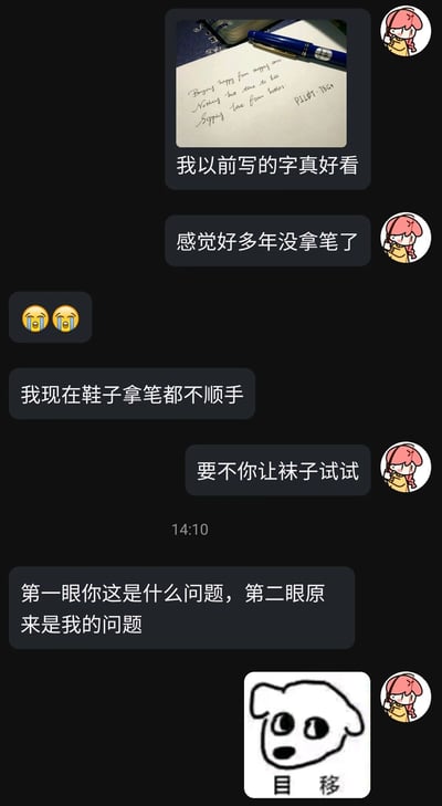 这是一段竖屏的即时通讯软件聊天记录截图，内容是两位用户的趣味互动：一位粉头发卡通头像的用户先分享自己以前的手写英文内容，感慨自己以前的字好看，且感觉多年没拿笔；随后对方发哭的表情，还因手滑打错字，将“现在拿笔”打成“鞋子拿笔”，该用户顺势调侃“要不你让袜子试试”，对方反应过来是打字错误，回复“第一眼你这是什么问题，第二眼原来是我的问题”，最后该用户发送一张“目移”的小狗表情包，以表达尴尬又好笑的情绪。整个对话因打字失误产生了幽默效果，体现了长期不写字后手生，连打字都出现乌龙的日常趣事。