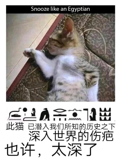暂无描述