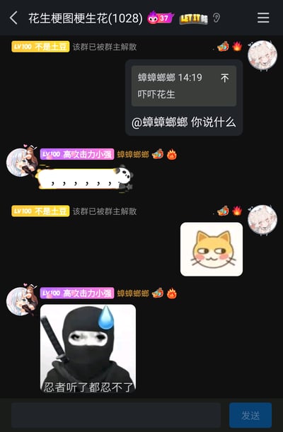 这是一张竖屏的群聊平台截图，群名称为“花生梗图梗生花(1028)”，界面顶部显示群成员等级和群标识，群内成员“不是土豆”两次发送“该群已被群主解散”的提示。成员“蟑蟑螂螂”在14:19发送消息“不 吓吓花生”，随后有群成员@他询问“你说什么”，接着“蟑蟑螂螂”发送了一张带有多个逗号的熊猫图，“不是土豆”发送了一张表情微妙、脸颊泛红的猫猫表情包，最后“蟑蟑螂螂”发送了一张忍者流汗的梗图，配文“忍者听了都忍不了”，整体呈现出群聊即将解散或刚解散时，成员用网络梗图进行趣味互动的场景，氛围轻松搞笑。