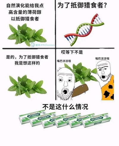 这是一张分5个模块递进呈现的搞笑合成梗图，用反差感调侃薄荷演化的“反向”结局：
1. 开篇是薄荷的“演化诉求”：希望自然演化出高含量薄荷醇来抵御猎食者；
2. 接着是DNA层面的演化目标：明确为了抵御猎食者；
3. 然后是薄荷的“自我认知”：坚定演化目的是抵御猎食者；
4. 随后剧情反转：原始人类（用网络梗图角色呈现）被薄荷的清凉感吸引，发出“嘴巴凉凉哦”的惊叹，完全偏离了薄荷的防御初衷；
5. 最后是更离谱的现实：薄荷被做成了绿箭（SPEARMINT）口香糖，彻底成为人类喜爱的消费品，让薄荷的“防御”目的彻底落空。
整张图通过生物演化目的与现实结果的强烈反差制造荒诞搞笑的效果，没有双关或谐音梗。