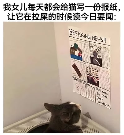 图片中一只黑白相间的猫正坐在猫砂盆里，抬头专注地看着墙上贴着的一张手写‘报纸’。报纸顶部用英文醒目地写着‘BREAKING NEWS!!’，下方划分多个板块，包含手绘的房屋、人物、巧克力等插图及儿童风格的手写文字。图片上方配有中文文字说明：‘我女儿每天都会给猫写一份报纸，让它在拉屎的时候读今日要闻：’，生动展现了小女孩为宠物猫制作专属‘如厕读物’的童真创意，整体画面温馨又充满趣味。