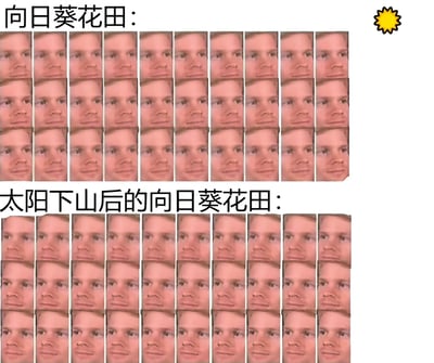 图片分为上下两部分进行对比。上半部分标题为“向日葵花田：”，右侧配有黄色太阳图标，下方是多排整齐排列的人脸，所有面孔统一朝向右方，模拟向日葵面向太阳的状态；下半部分标题为“太阳下山后的向日葵花田：”，下方同样是多排人脸，但面孔朝向变得杂乱无章，有的向下看，有的朝不同方向，幽默地拟人化表现太阳落山后向日葵“失去方向”的场景。通过重复人脸的朝向变化制造笑点，生动有趣。