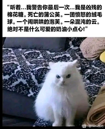 这是一张极具反差萌的猫咪梗图：一只洁白如棉花糖的长毛猫坐在床上，表情异常愤怒，配有一大段夸张自述型、否认可爱的配文。通过反向形容词和中二化语气营造出强烈喜感。整图展现了“表面奶油，内心凶残”的幽默矛盾，常被网友用来表达自己外表可爱内心高冷或怼人时的搞笑气氛。

（强调了反差、否认体和“我明明很凶”的自我设定，没有政治谐音内涵）