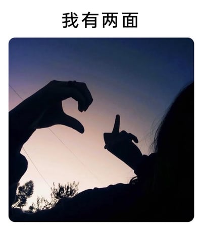 这是一张创意趣味梗图，背景是黄昏渐变的天空，下方可见树木与电线的轮廓。画面主体是一个人的双手剪影，一只手摆出类似框架的手势，另一只手在这个框架内比出了中指的手势，搭配图片顶部的文字“我有两面”，形成强烈的反差感：用看似温馨的手影形式，传递出表面温和但另一面带有吐槽、不满的反差态度，属于玩梗类的趣味内容，用来表达人的双面性，或是作为搞笑情绪的输出载体。