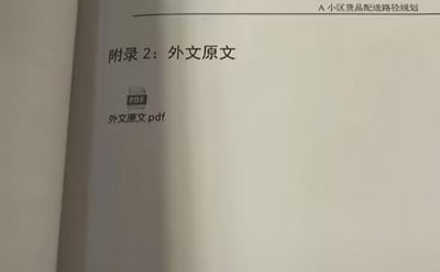 这是一张翻拍的文档页面，页面顶部标注了文档主题“A小区货品配送路径规划”，主体区域是“附录2：外文原文”的标题，标题下方有一个PDF格式的图标，以及文字“外文原文.pdf”，表明该附录对应的外文原文以PDF文件形式存在，整体是一份正式的项目相关文档的一部分，用于记录项目的外文参考资料位置。