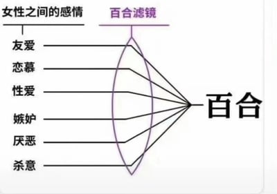 这是一张讽刺性示意图，展示了所谓的"百合滤镜"如何将女性之间的各种关系（友爱、恋慕、性爱、嫉妒、厌恶、杀意）全部解读为"百合"（女同性恋）关系。图中使用光学透镜的视觉隐喻，暗示这种解读方式如同通过特定滤镜观看事物，会扭曲原本多样的人际关系。