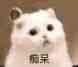 防沉迷小猫表情包