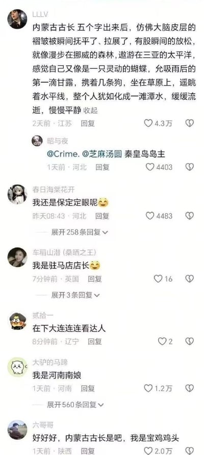 该图片为社交媒体评论区截图，内容围绕“内蒙古古长”展开趣味互动。首位用户以诗意语言描述该词汇带来的放松感，随后其他网友纷纷以各地地名进行幽默自嘲，如“保定定眼”“驻马店店长”“大连连连看达人”“河南南娘”“宝鸡鸡头”等，形成一系列充满地方特色的搞笑身份梗，整体氛围轻松诙谐，展现了网友的创意玩梗能力。