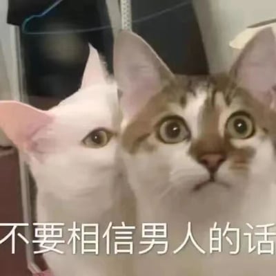 这是一张静态单图文字加注类表情包，画面中有两只真实拍摄的猫咪，右侧的狸花加白猫咪睁着圆溜溜的大眼睛，神情惊讶又带着不敢置信，左侧的纯白猫咪侧头看向一旁，表情显得平淡冷静。图片底部配有醒目的白色文字“不要相信男人的话”，将猫咪的神态与文字内容结合，用拟人化的方式传递出对男性话语的调侃式提醒，风格诙谐搞笑，适合在聊天场景中用来表达对相关情感话题的吐槽或调侃。