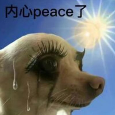 图中是一张经过P图创作的狗狗表情包：狗狗被加上了夸张的长睫毛，脸上挂着大颗的泪珠仰头看向天空，背景是晴朗蓝天和耀眼的太阳，上方配文“内心peace了”。
这张图用外表崩溃流泪的状态和“内心平静”的文字形成强烈反差，表达一种在经历糟心事、委屈之后，被迫自我安慰、装作释怀平静，实则内心还在难过的心酸无奈情绪。