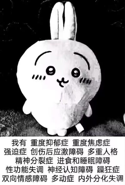 这是一张黑白的图文混排梗图，上半部分是日本漫画《吉伊卡哇》中的角色乌萨奇的毛绒玩偶，玩偶表情软萌乖巧，下半部分是一段密集罗列的文字，内容为“我有 重度抑郁症 重度焦虑症 强迫症 创伤后应激障碍 多重人格 精神分裂症 进食和睡眠障碍 性功能失调 神经认知障碍 躁狂症 双向情感障碍 多动症 内外分化失调”，用可爱软萌的卡通角色和沉重繁多的精神类病症列表形成强烈反差，以夸张自嘲的方式表达自己被各种负面情绪和心理问题困扰、精神状态极差的感受，图中没有双关、谐音梗或暗示类内容。