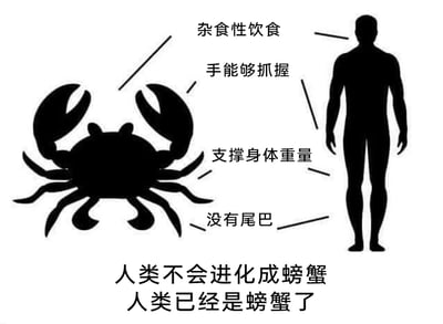 这是一张充满脑洞的网络搞笑梗图，画面以黑色剪影形式呈现了左侧的螃蟹和右侧的人类男性形象，并用线条分别将两者与四个共同特征相连，包括“杂食性饮食”、“手能够抓握”、“支撑身体重量”、“没有尾巴”。图片底部配有戏谑的文字“人类不会进化成螃蟹 人类已经是螃蟹了”，通过一本正经地罗列不同物种的相似生物特征，用夸张、反差的方式制造幽默效果，消解了生物进化话题的严肃性，属于网友自发创作的趣味脑洞内容，旨在通过荒诞的关联引发观者的笑点。
