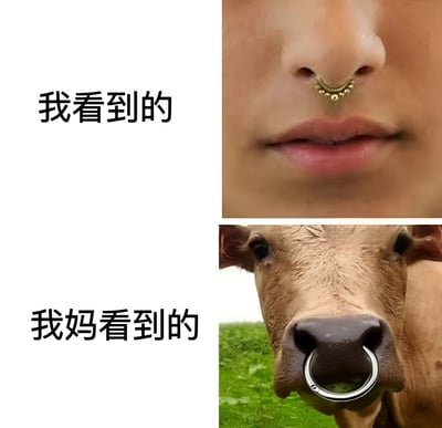 这是一张左右对比梗图，左侧白色背景上有黑色文字“我看到的”，旁边是佩戴金色鼻环的人脸特写；右侧同样布局，文字为“我妈看到的”，旁边是鼻子上戴着金属环的牛的特写。通过将人的鼻环与牛鼻环并置，幽默地表现了年轻人时尚选择在父母眼中可能产生的误解，形成强烈的视觉反差笑点。