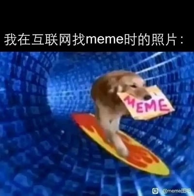 这张图上方配有中文文字“我在互联网找meme时的照片：”，下方是一只金毛犬踩着橙黄相间的冲浪板，在类似蓝色网络隧道的空间里“冲浪”，狗狗嘴里叼着一块写有“MEME”的牌子。画面生动地将人们在互联网海量内容里搜寻有趣梗图的行为，比喻成在信息隧道里冲浪，精准地表现出那种沉浸、投入且目标明确的状态，让有过类似经历的人能产生强烈共鸣，用幽默的方式调侃自己沉迷找meme的日常。