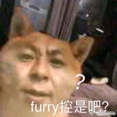 这是一张经过图像合成的搞笑网络梗图，创作者将经典柴犬表情包Doge的头部与人类的面部拼接在一起，保留了柴犬的标志性耳朵，搭配人类面部那略带疑惑、审视的神情，画面右下角还添加了一个问号，底部配有文字“furry控是吧？”。这张图的核心是调侃喜爱furry（兽人文化）的群体，用这种半人半犬的怪异违和形象，以戏谑的语气吐槽furry爱好者，整体氛围轻松搞笑，没有双关、谐音梗等额外隐含内容。