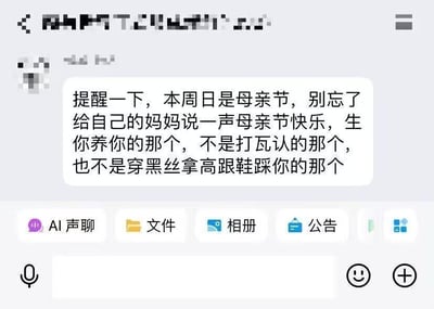 这是一张手机聊天界面截图，画面中央是一条醒目的提醒消息：“提醒一下，本周日是母亲节，别忘了给自己的妈妈说一声母亲节快乐，生你养你那个，不是打瓦认的那个，也不是穿黑丝拿高跟鞋踩你的那个”。界面顶部有部分模糊的像素化内容，底部可见聊天软件的功能按钮（如AI声聊、文件、相册等），整体风格轻松诙谐，用网络流行梗（“打瓦”即玩《Valorant》的戏称）与调侃语气强调“亲生母亲”的概念，既起到节日提醒作用又带有幽默效果。