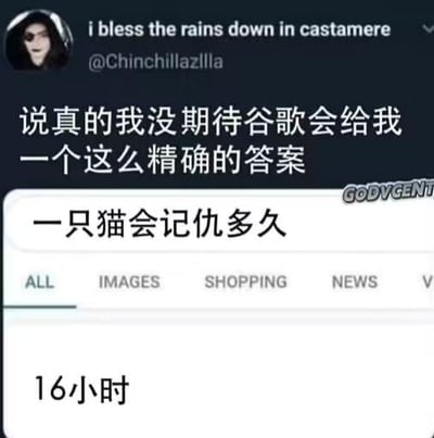 这是一张上下拼接的图文混排截图，上方是海外社交媒体X（原推特）用户@Chinchillazllla的动态，配文表示自己没期待谷歌会给出这么精确的答案；下方是谷歌搜索界面，搜索问题为「一只猫会记仇多久」，搜索结果显示答案是16小时。图中的笑点在于谷歌将一个带有生活化调侃性质的问题，给出了精确到小时的答案，这种反差感让整个内容显得十分滑稽有趣。实际上猫咪的记仇时长并没有固定的16小时定论，猫咪的情绪和记忆持续时间会因个体差异和具体事件有所不同，谷歌的这个精确答案更偏向于趣味化的回应。