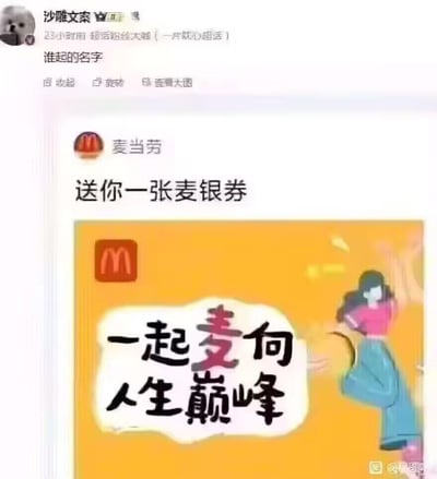 这是一张微博用户“沙雕文案”发布的截图内容，截图展示了麦当劳的优惠券宣传物料。物料中将优惠券命名为“麦银券”，还把“一起迈向人生巅峰”改写为“一起麦向人生巅峰”，用品牌名“麦”替换“迈”，玩起了谐音梗。发布者配文“谁起的名字”，表达对这个趣味起名的调侃。
**谐音梗说明**：“麦向”谐音“迈向”，同时结合麦当劳的品牌名，既贴合品牌又传递积极向上的宣传语。