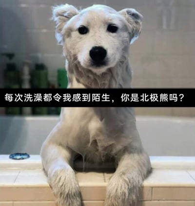 暂无描述