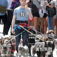 哈利·波特