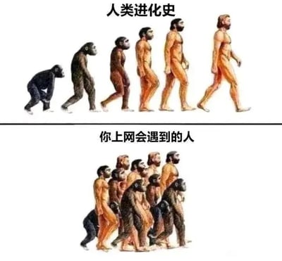 这张梗图用幽默方式对比了人类进化史和你在网上遇到的人的“进化阶梯”。上半部分是经典的人类进化示意图，从猿猴逐渐进化到现代人类；下半部分则讽刺地展示在网上会遇到各阶段“进化”的人，暗指网络环境中参差不齐的人群，让人哭笑不得。

双关/讽刺点：通过将原本单一直线演变的“进化史”变成网络群众百态，调侃网络素质、文明程度五花八门。