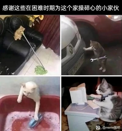 这是一张四格拼接的P图改编静态图，顶部配有文字“感谢这些在困难时期为这个家操碎心的小家伙”。四格画面分别呈现了四只猫咪被拟人化的劳动场景：左上角的橘猫站在黑色皮沙发上，握着拖把在清理地面的绿色污渍；右上角的灰猫身上挂着扳手，伸手检查汽车车头，模仿修车师傅的样子；左下角的白猫在红色浴缸里，拿着刷子清洁浴缸内壁；右下角的灰白猫坐在电脑桌前，前爪放在键盘和鼠标上，仿佛在处理工作。图片通过将猫咪与人类的家务、工作场景结合，用可爱的拟人化效果制造出猫咪为家庭操劳的搞笑氛围，十分治愈有趣。