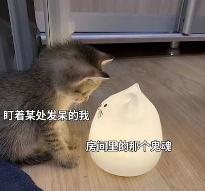 图片中一只灰色虎斑小猫蹲坐在木质地板上，正专注地凝视着前方一个白色猫形造型的发光小夜灯。小猫耳朵竖起，眼神认真，仿佛在与这个散发着柔和白光的‘猫形物体’进行无声交流。图片通过文字‘盯着某处发呆的我’和‘房间里的那个鬼魂’进行幽默注解，将小猫比作发呆的自己，把发光的猫形灯调侃为房间里的‘鬼魂’，用萌宠与日常物品的互动营造出轻松搞笑的氛围，十分贴合年轻人的脑洞式幽默。