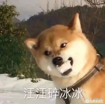 这是一张经过文字加注的柴犬实拍改编图，画面中的柴犬身处户外雪地环境，脸部歪向一侧，嘴巴和脸颊沾着冰块，表情搞怪滑稽。图下方配有文字“汪汪碎冰冰”，利用知名零食“旺旺碎冰冰”的谐音，将柴犬的“汪汪”叫声与零食名称结合，制造出趣味十足的谐音梗效果，是一张适合用于聊天活跃气氛的搞笑表情包素材。