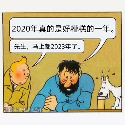 漫画场景中，阿道克船长垂头丧气地抱怨"2020年真的是好糟糕的一年"，而旁边的丁丁提醒他"先生，马上都2023年了"。画面通过经典漫画角色的对话，幽默地表现了人们对过去困难年份的持久抱怨，即使时间已经过去多年。