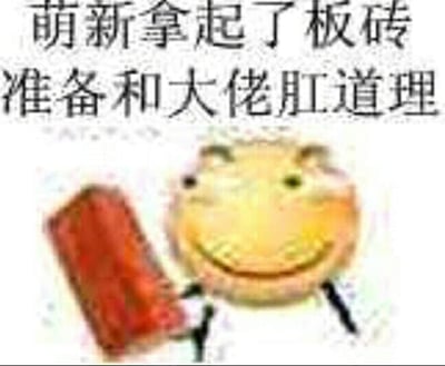 图片上方有黑色文字“萌新拿起了板砖准备和大佬肛道理”，下方是一个卡通风格的黄色圆脸角色，面带微笑，手持一块红色板砖。其中“肛道理”是谐音梗，将“讲道理”的“讲”替换为“肛”，形成幽默效果，暗示萌新不打算用言语沟通，而是想用板砖（武力）解决与资深人士的分歧。