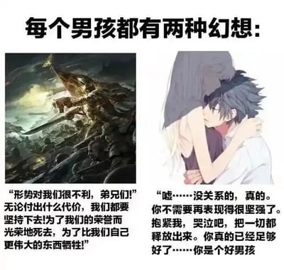 该梗图以“每个男孩都有两种幻想:”为标题，采用左右双图拼接形式。左侧为奇幻风格战斗场景，一名身披盔甲的战士在硝烟中号召同伴“为荣誉牺牲”，展现热血英雄主义；右侧为动漫情侣拥抱画面，女孩温柔安慰男孩“不需要坚强，哭出来吧”，传递情感释放的柔软。两张图片形成“坚毅战斗”与“脆弱接纳”的鲜明对比，幽默诠释男性情感中的两种典型向往。
