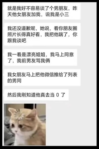 这是一张包含幽默情感反转故事的图文混排图片。图片上方是几段文字对话，讲述了一个意想不到的情感关系转变：叙述者交了男朋友，却被其女友加好友指责为小三，没想到对方看到叙述者照片后竟决定踹掉男友转而追求叙述者，叙述者同意后，新女友将前男友推给了 gay 朋友，最后发现前男友真的成了「0」。图片底部配有一张表情略显疑惑的猫的照片，与上方荒诞的故事情节形成有趣对比，增强了喜剧效果。