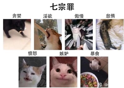 这是一张趣味整合类表情包图片，以西方七宗罪（贪婪、淫欲、傲慢、怠惰、愤怒、嫉妒、暴食）为框架，为每一种“罪”搭配了一张贴合其特质的猫咪表情包：贪婪对应扑向物品的黑猫，表现出争抢的欲望；淫欲对应伸长舌头的夸张猫咪，用怪异动作贴合夸张的特质；傲慢对应被刀具围绕却神态自若的猫咪，展现出不屑高傲的态度；怠惰对应窝在被子里熟睡的猫咪，体现慵懒怠倦的状态；愤怒对应皱脸生气的猫咪，传递出不满愤怒的情绪；嫉妒对应神态诡异的阴阳脸猫咪，表现出怪异的嫉妒感；暴食对应坐在大碗谷物圈前的胖猫，体现出贪吃后的圆胖体态。整张图片用猫咪的神态和行为生动对应七宗罪的特质，充满搞笑与反差感，适合在社交平台用于情绪表达或趣味互动。