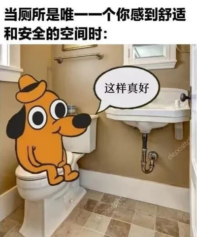 图片上方配有文字“当厕所是唯一一个你感到舒适和安全的空间时：”，下方是一个真实的浴室场景，包含白色马桶、洗手池和瓷砖地面。一只橙色的卡通狗戴着帽子，面带满足的表情坐在马桶上，旁边的对话框写着“这样真好”。整体通过真实场景与卡通形象的结合，幽默地表达了人们在厕所中找到片刻舒适与安全感的共鸣感。