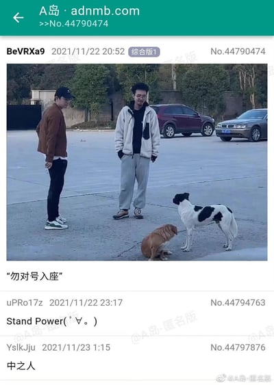 这是一张发布在匿名论坛A岛的趣味实拍梗图，画面里左侧男子身着棕色上衣与黑色长裤，和下方蹲坐的黄棕色小狗在外形颜色上高度对应；右侧男子穿着灰白拼接外套与灰色长裤，和面前站立的黑白花色小狗外形颜色匹配，形成了极具趣味性的视觉巧合。楼主配文“勿对号入座”玩梗，后续评论区有网友提及JOJO的“Stand Power（替身能力）”，还有评论“中之人”，将这个现实巧合和ACG文化结合，进一步放大了梗图的趣味性。