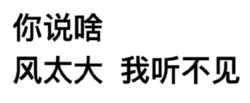 风太大我听不见