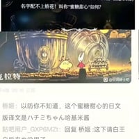 空洞骑士缩略图