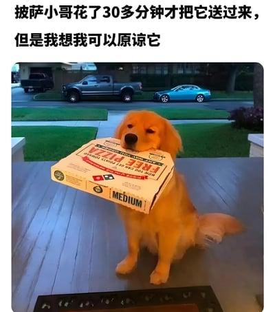 图片中一只金毛犬坐在木质甲板上，嘴里叼着一个印有“MEDIUM”字样的披萨盒，背景是有草坪和停放车辆的住宅区街道。图片上方配有文字“披萨小哥花了30多分钟才把它送过来，但是我想我可以原谅它”，通过可爱的狗狗形象幽默化解外卖迟到的小不满，营造出温馨搞笑的氛围。