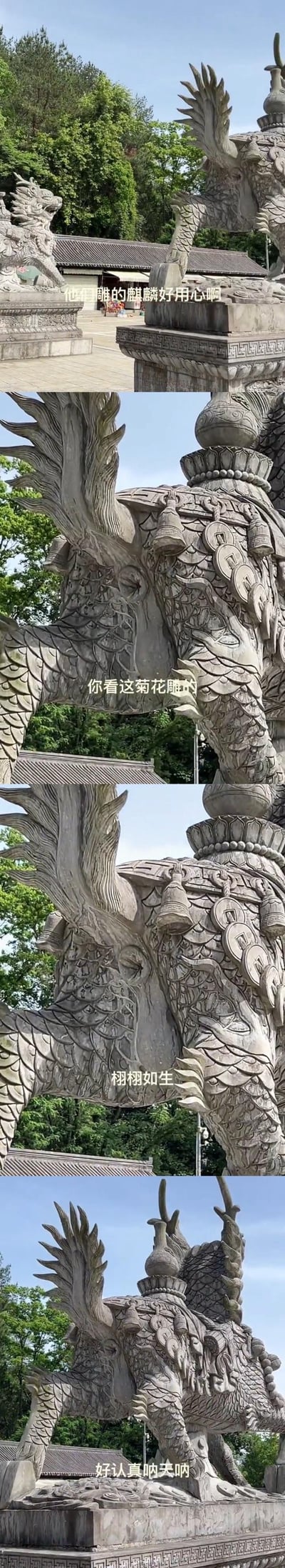 这是一组竖屏拼接的实拍景区石雕图，一开始展示了户外的石麒麟雕像，配文称赞雕刻用心；随后拉近镜头聚焦麒麟腿部后方的雕刻，让人误以为是精美的菊花石雕，配文夸赞“栩栩如生”；最后拉远视角揭晓真相——这根本不是菊花，而是麒麟的屁股！通过镜头的远近切换制造出强烈的视觉错位反差，形成了搞笑的乌龙效果，让人忍俊不禁。