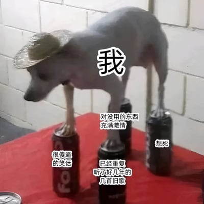 一只戴着草帽的狗站在几个饮料罐上，图片中包含多个文字气泡，表达了对生活中各种无奈事物的自嘲。狗的姿态和文字内容形成幽默对比，展现了一种对日常琐事的调侃态度。