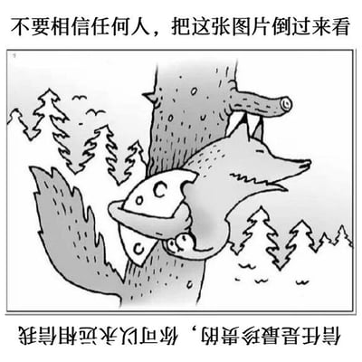 图片上方有文字'不要相信任何人，把这张图片倒过来看'，中间是黑白手绘风格的狐狸抱着物体站在树林背景前的画面，下方文字为'信任是最珍贵的，你可以永远相信我'。通过将图片倒置，可能会呈现出不同的视觉效果，形成'不要相信'与'信任珍贵'的反差趣味。